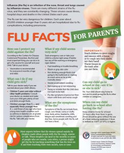 Sheet of fact about the flu designed for parents