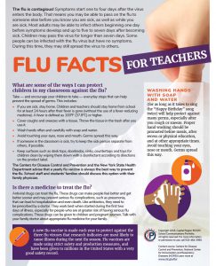 Fact sheet about the flu designed for teachers
