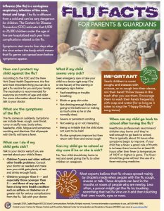 Flu facts for the upcoming flu season