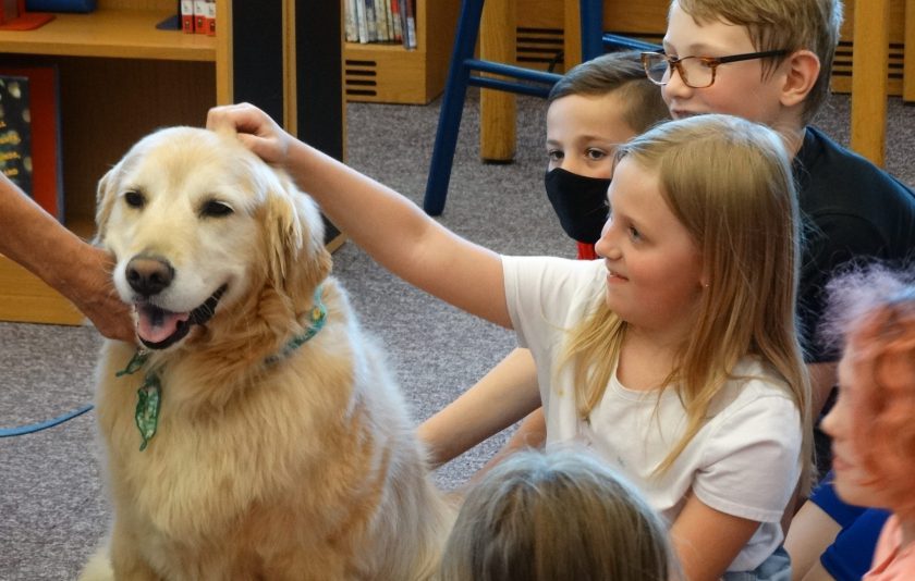 girl in white petting dog