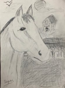 a pencil drawing of a horses face in the foreground and a barn in the background