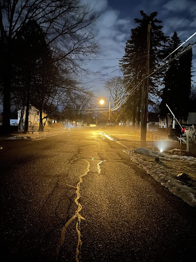 Sunset with a golden hue casted on a long street with trees lining each side