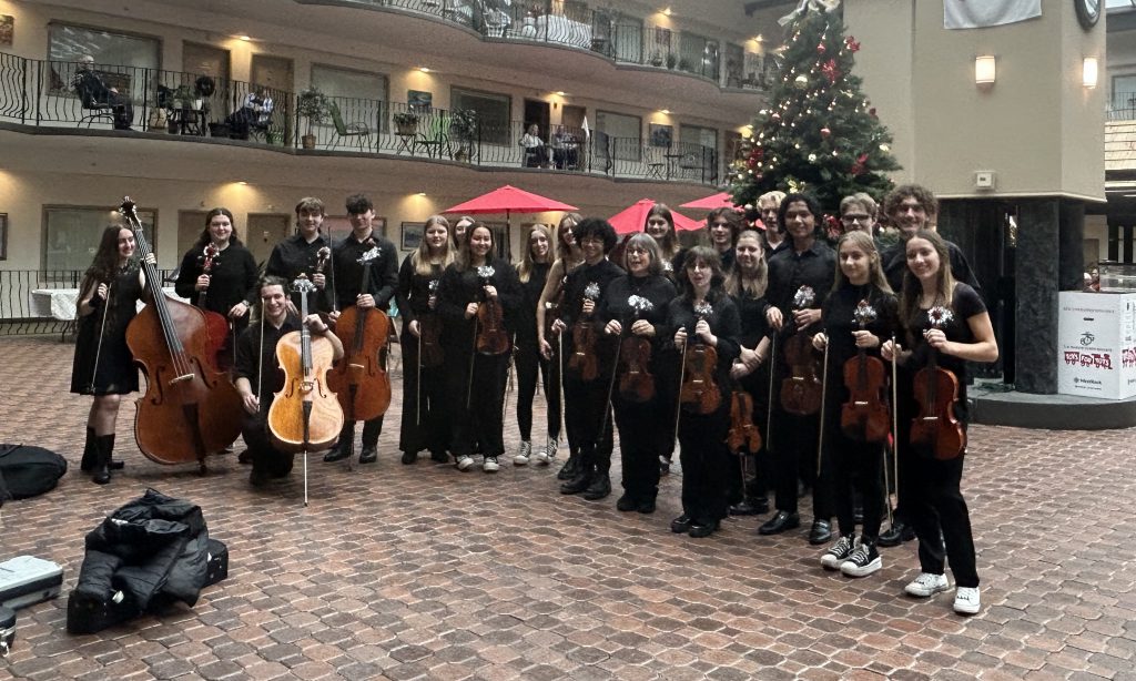 chamber orchestra student musicians with their instruments 