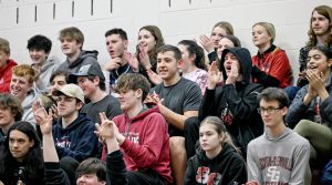 students sitting in bleachers cheering